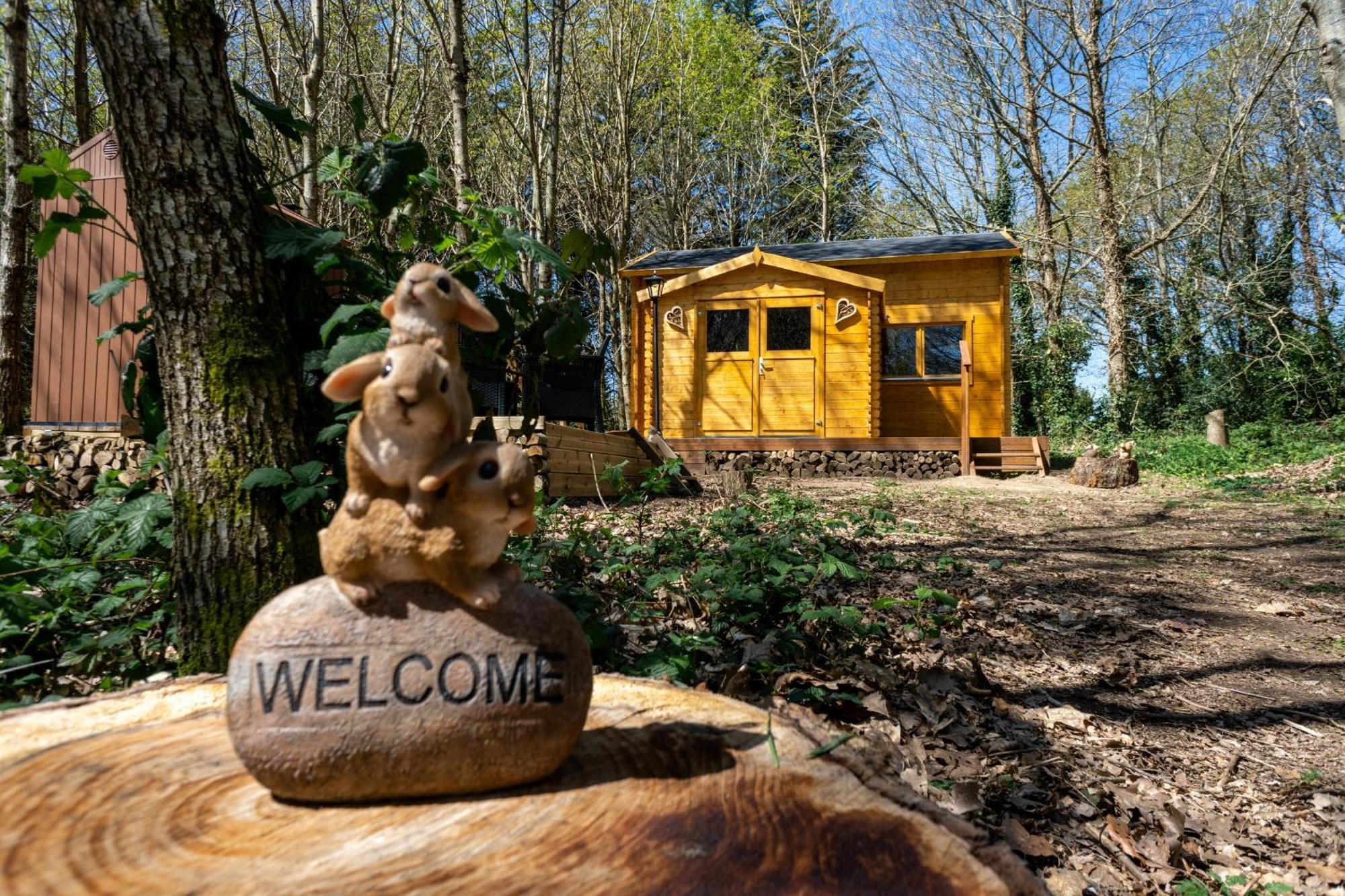 Cabane Insolite Avec Escape Game Saint-Évarzec Eksteriør billede